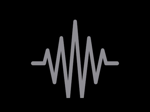 Show Hustle - Disguise