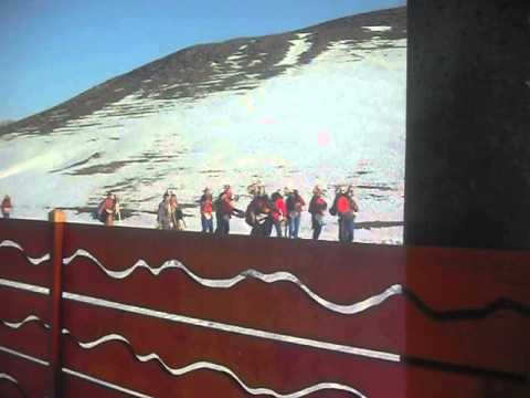 cerbul crivesti 31 12 2012 1