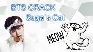 BTS Crack - Suga´s Cat