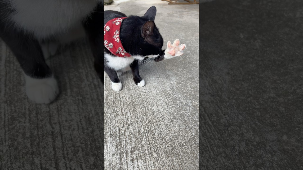 今日はお風呂の日♨️お昼ご飯は頂き物の寄せ集め🍽️