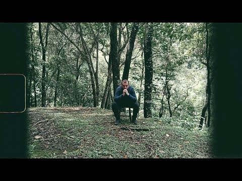 Florescer - Fernando Falks