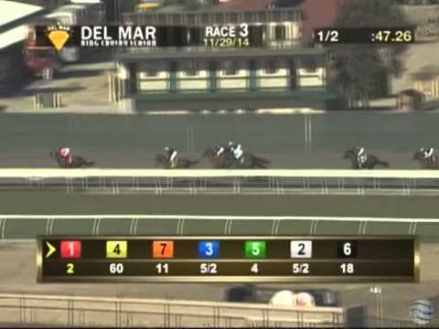 2014 Native Diver Handicap (G3)