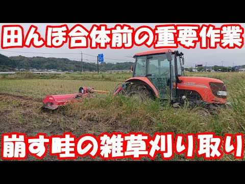 緑の廃棄物を燃やすことをお勧めします 時間を選択してください 早朝、夕方