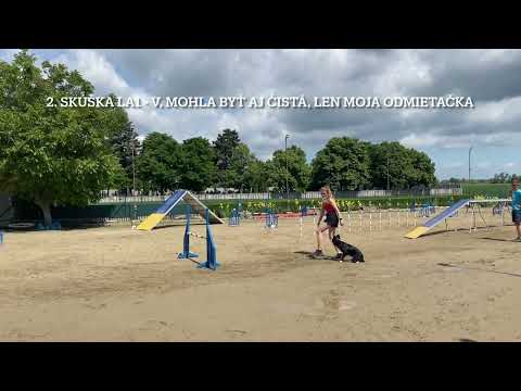 First agility exams LA1 - BELIVE ME Puella fera