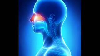 Download lagu Nasal Passage Treatment | Stop Running Nose Binaural Beats Pure Music | Brainwave Entertainment Zone mp3