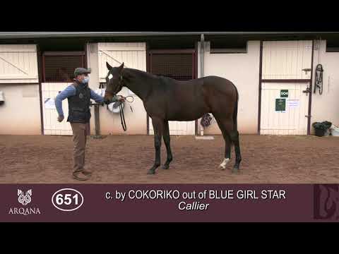 2020 Autumn Sale - Lot 651 c. COKORIKO x BLUE GIRL STAR