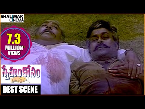 Sneham Kosam Telugu Movie || Heart Touching Climax Scene || Chiranjeevi, Meena || Shalimarcinema