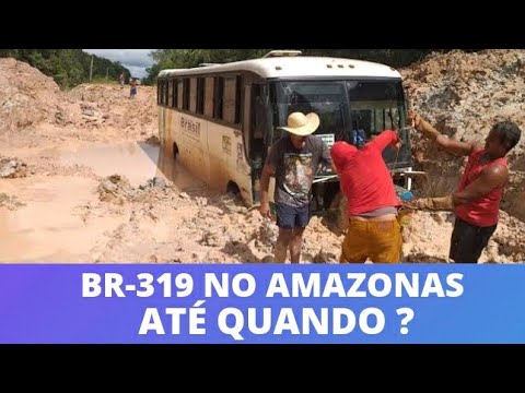 Vídeo:BR-319 Ônibus são retirados de atoleiro  com ajuda de tratores no Amazonas