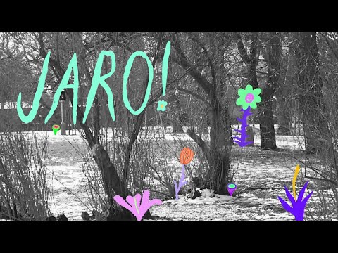 Tomáš Suchý - Záchytný bod - Tomáš Suchý - Jaro!