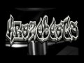 Married 2 The Streets K Solo Aka Wolfgang Murda Mouth