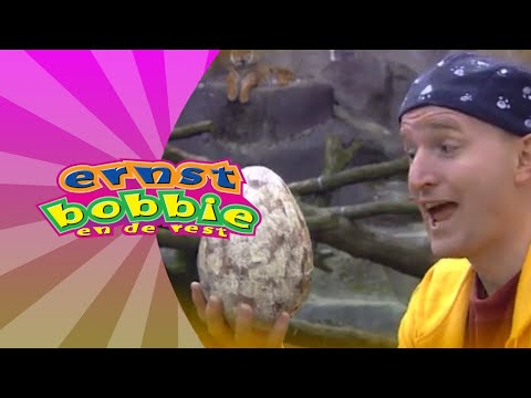 Een Eenzaam Ei • Avonturen In de Dierentuin • Ernst en Bobbie