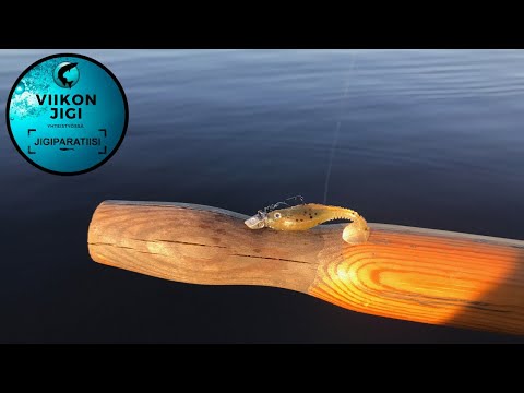 Viikon jigi: Gunki Grubby Shad 6 cm