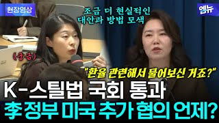 K-스틸법 국회 통과에..이재명 정부 미국과 추가 협상 언제 나서나?