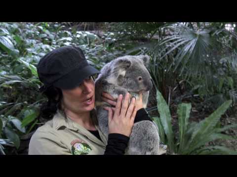 Iron Sky Signal E12 - Iron Sky Goes Australia Part I