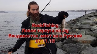 Снасть на окуня терпуга прим край