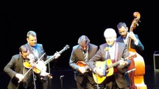 The Del McCoury Band/I Need More Time