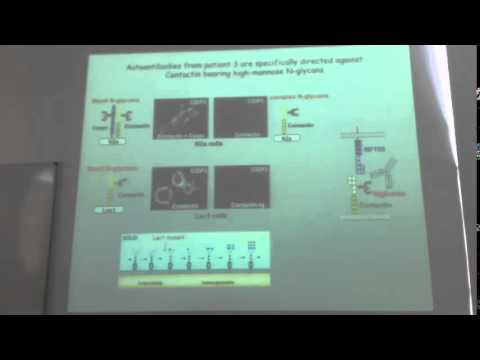 IMBB Seminar - Catherine Faivre-Sarralh - April 28, 2014