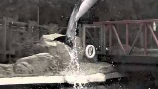 Cleaners From Venus - Everytime I Go Up