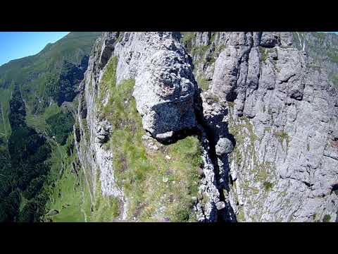 acele morarului - acul mare