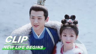 Download lagu Li Wei Runs into Yin Zheng's Arms | New Life Begins EP36 | 卿卿日常 | iQIYI mp3