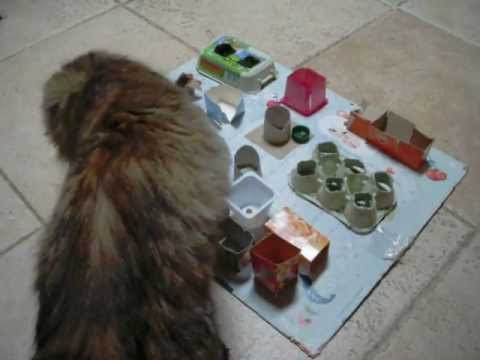 comment construire un jouet pour chat