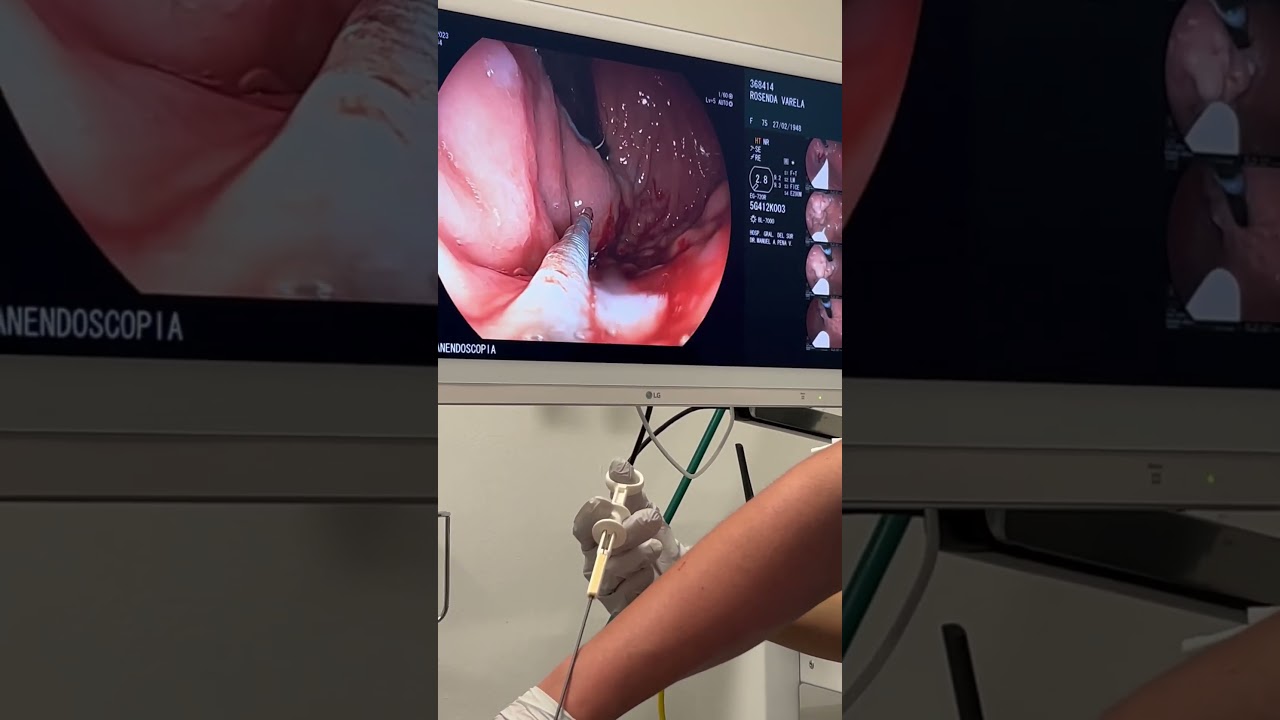 Manuel Alfonso Peña Vergara-19