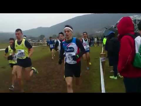 CAMPIONATI ITALIANI DI CROSS 2015.avi