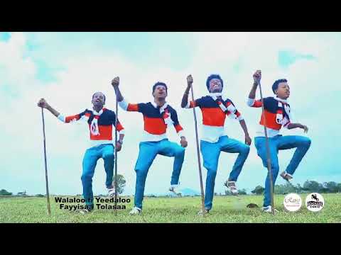 Fayyisaa tolasaa bububbisee new oromo music 2018