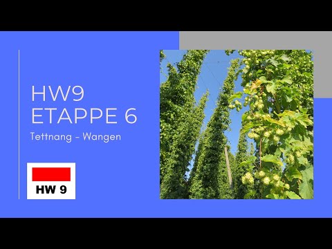 Wandern auf dem Heuberg-Allgäu-Weg HW9. Etappe 6: Tettnang- Wangen