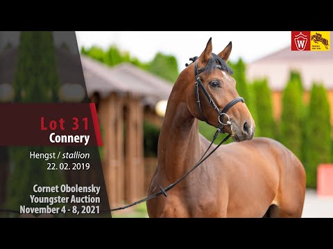 Youngster Auktion Lot 31 Connery Hengst v. Cornet Obolensky - Arpeggio