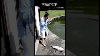 Download lagu Ikan Melompat Keluar dari Kolam—Apa yang Dilakukannya Selanjutnya Membuatku Terkejut! #shorts #cctv mp3