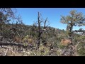 2014 New Mexico Cow Elk Hunt with Donald ...