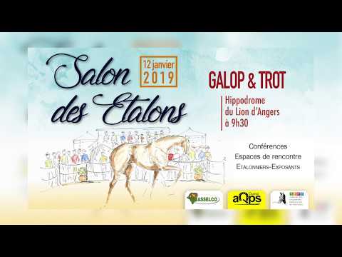 60 - BAGGIO DU CHATELET - Niky / Paola du Chatelet - Haras de la Boirie