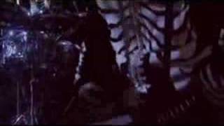 Balzac- Out of the Blue