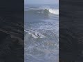 Big Waves Nazaré Surf 25 11 2022 Big Swell