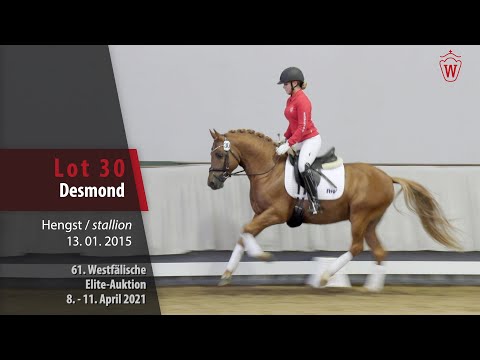 61. Elite-Auktion Trainingsvideo Lot 30 Desmond Hengst v. Dimension AT NRW - Dance Star AT NRW