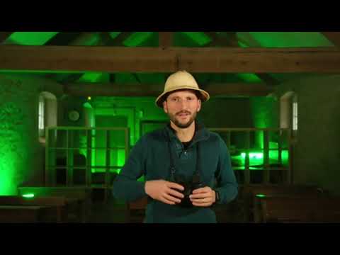 VidÃ©o du sÃ©jour