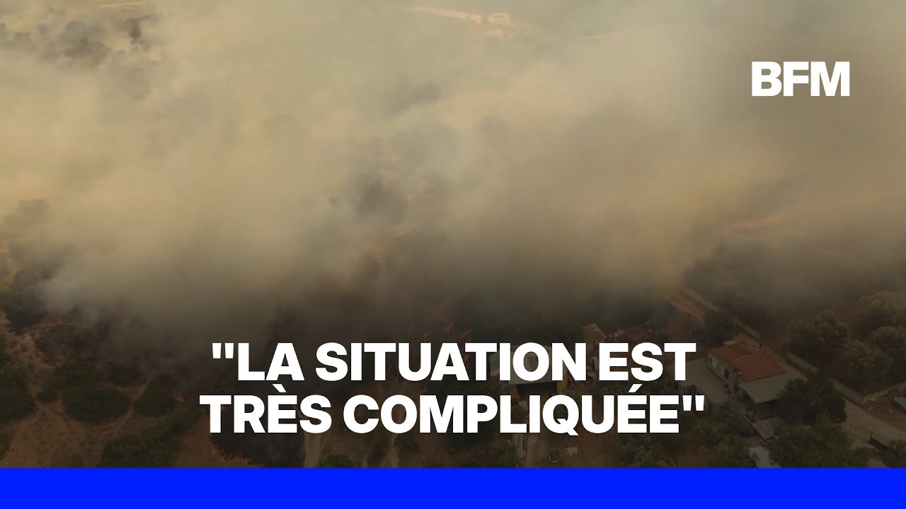 Incendies en Grèce: 12.000 hectares ravagés par les flammes en une semaine