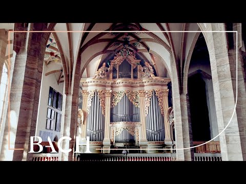 The Silbermann organ in Freiberg | Netherlands Bach Society