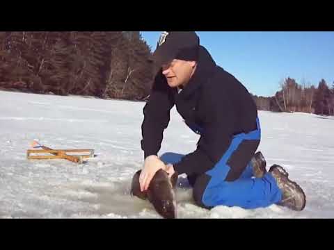Amazing Giant Fish Fishing Skills in the ice river   Amazing Fastest Fish Catching Net Under Ice #1