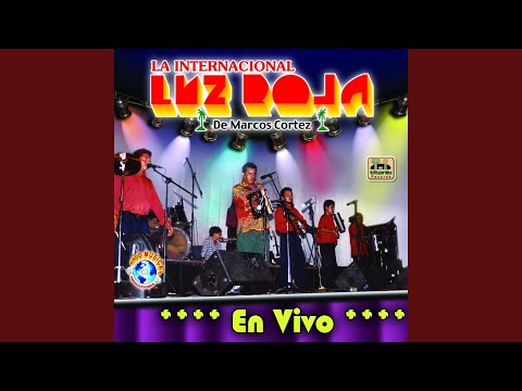 El Bigote, la Golondrina (En Vivo)