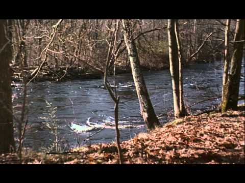 Vorschaubild für Zivilprozess Trailer