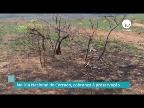 Câmara realiza seminário sobre importância de conservação do Cerrado - 11/09/19