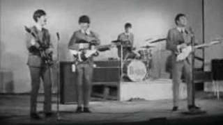 Beatles - Sie Liebt Dich (she loves you)