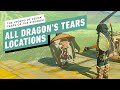 The Legend of Zelda: Tears of the Kingdom Gameplay Walkthrough - All Dragon's Tears Locations