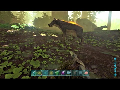 Ark Survival Evolved - Hardcore Island - Season 1 Ep 24 - Taming a Hyaenodon Army - Part 1