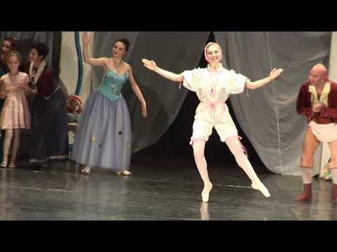 Zana papusilor (Fairy Doll Ballet)