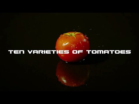 , title : 'Ten varieties of tomatoes'