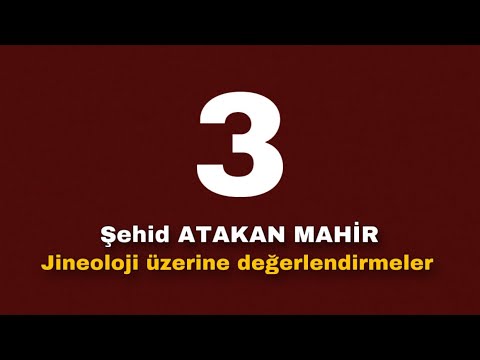 Atakan Mahir | Jineoloji Üzerine Değerlendirmeler | 3