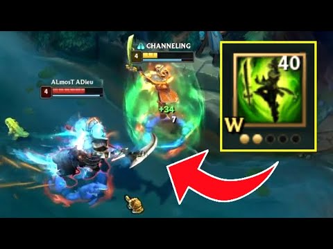 Master Yi with Level 2 W...